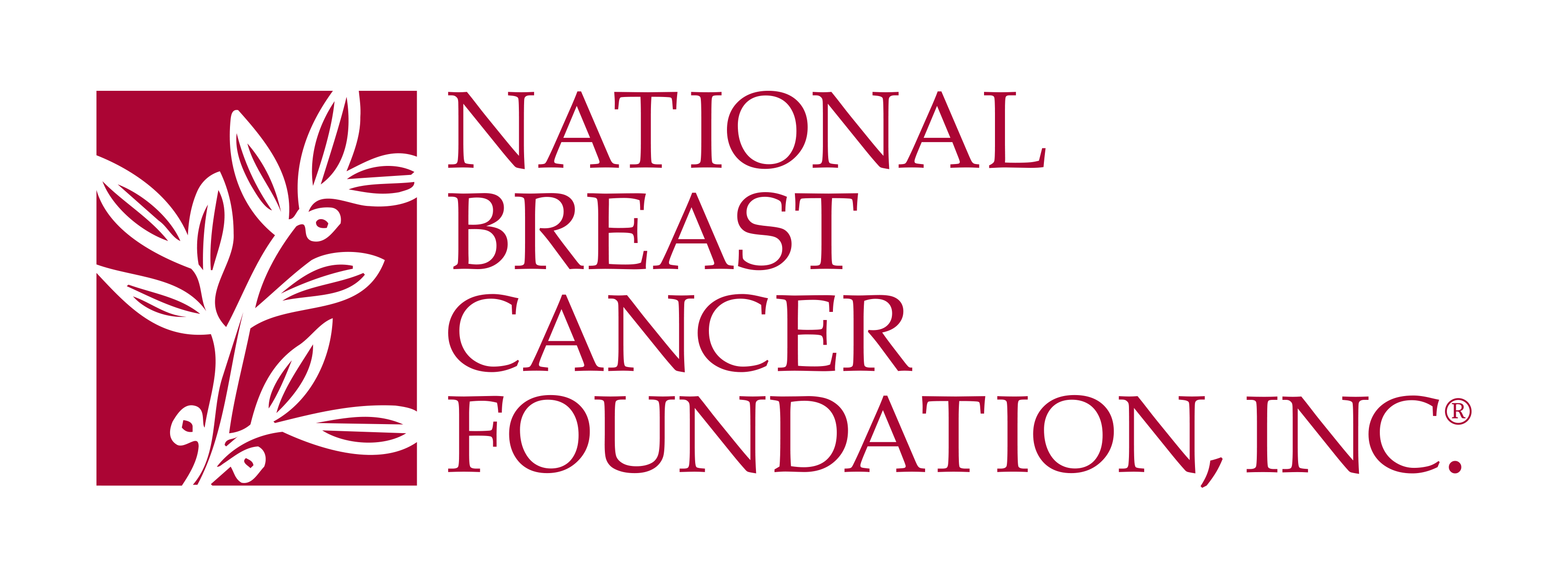 National Breast Cancer Foundation, Inc.  logo